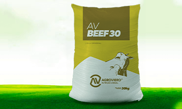 Conheça o novo produto AV BEEF 30